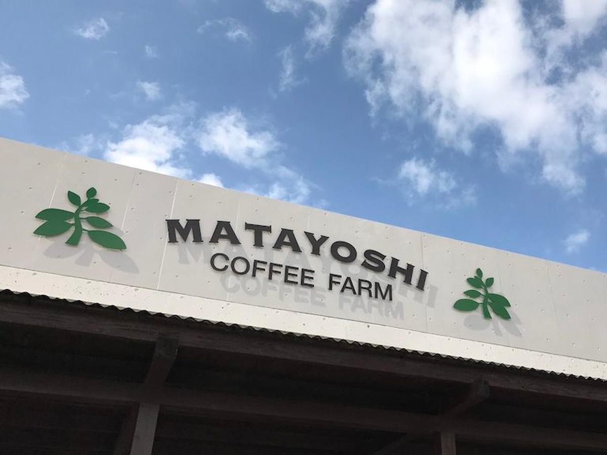 Willa Matayoshi Coffee Farm Higashi Zewnętrze zdjęcie