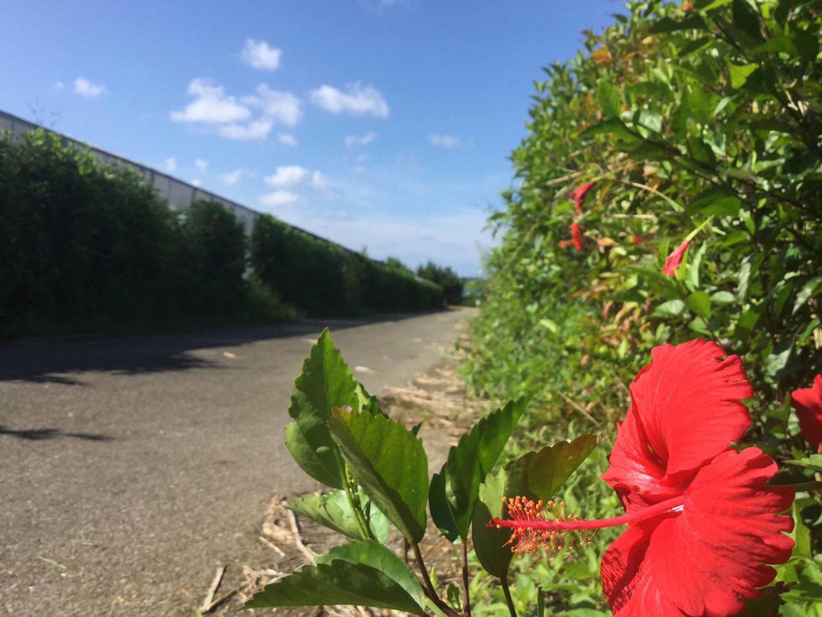 Willa Matayoshi Coffee Farm Higashi Zewnętrze zdjęcie