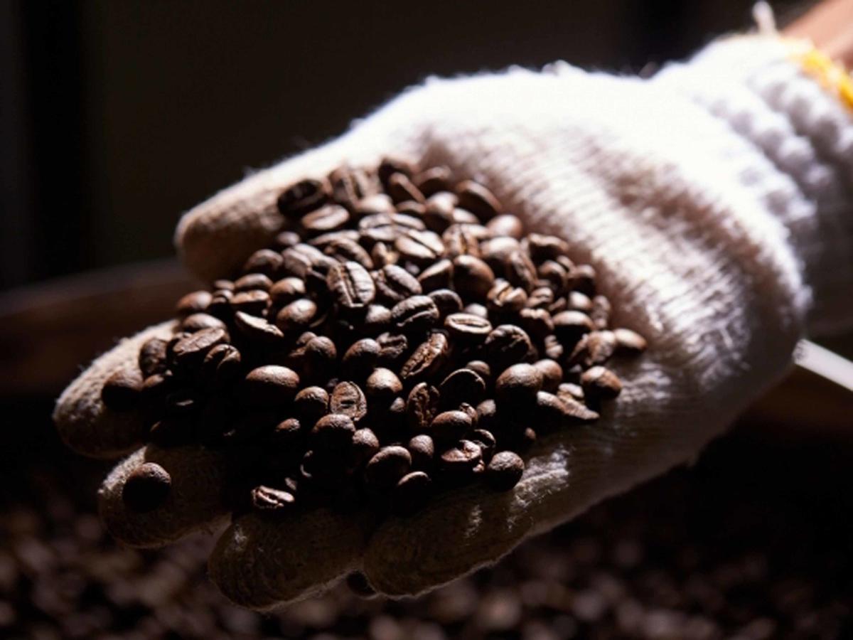 Willa Matayoshi Coffee Farm Higashi Zewnętrze zdjęcie